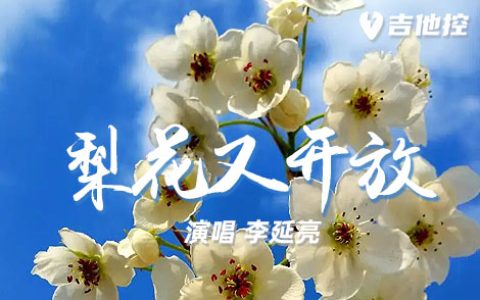 梨花又开放吉他谱,歌曲,G调简单指弹教学简谱,3张六线谱图片